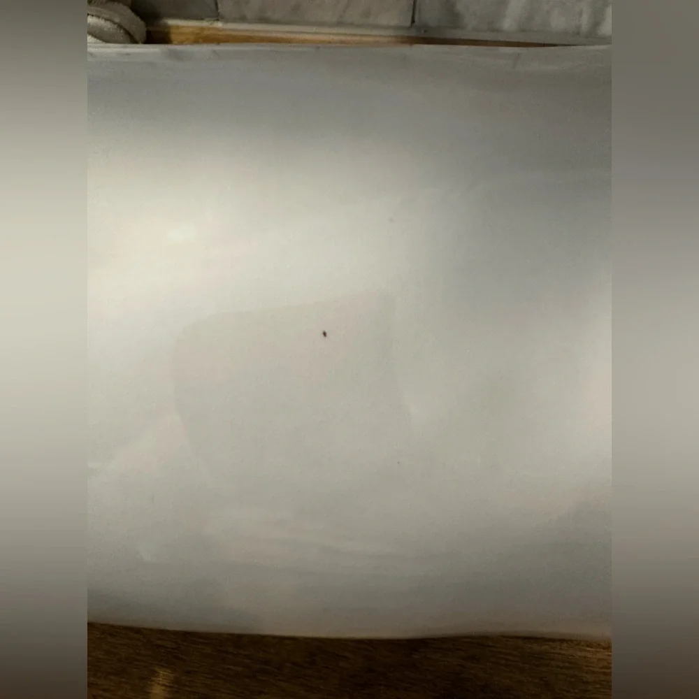 Rae Dunn Ceramic Coffee Canister (Used) - Picture 5 of 5